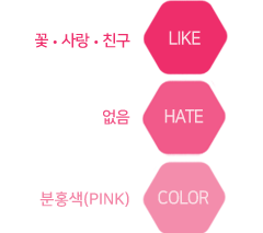 like:꽃,사랑,친구 hate:없음 color:분홍색(PINK)